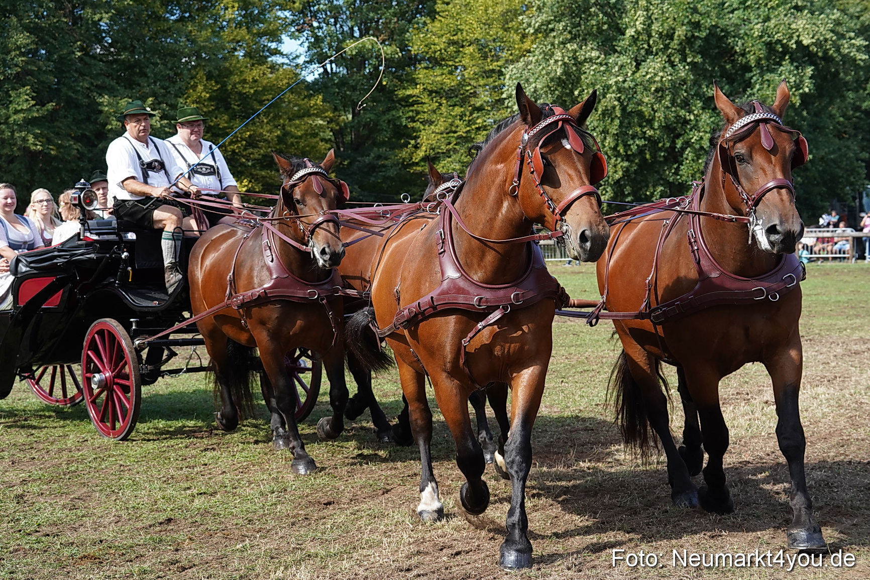 Pferde und Fohlenschau 2022 0223 